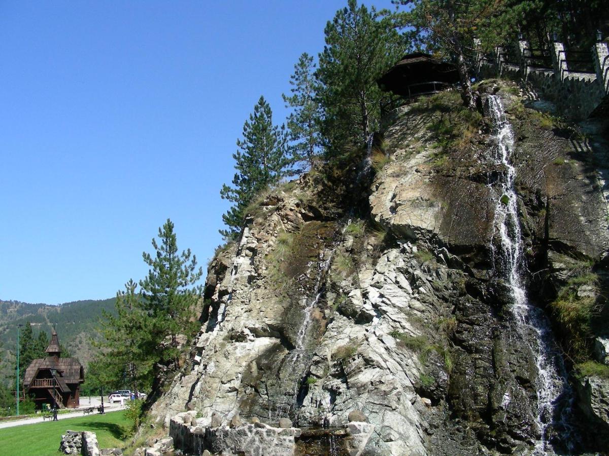 Dm Mokra Gora