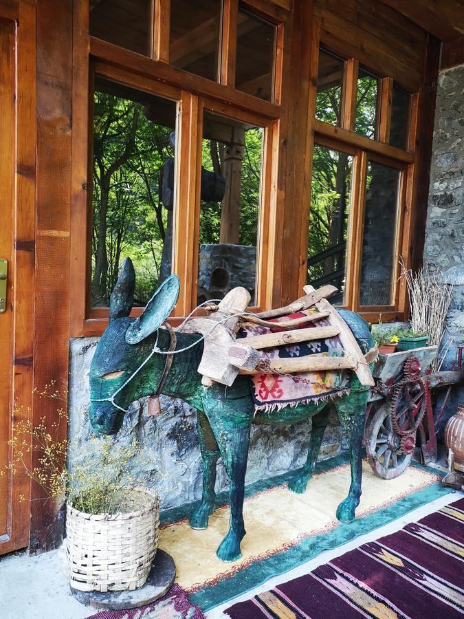 Dm Apartment Mokra Gora